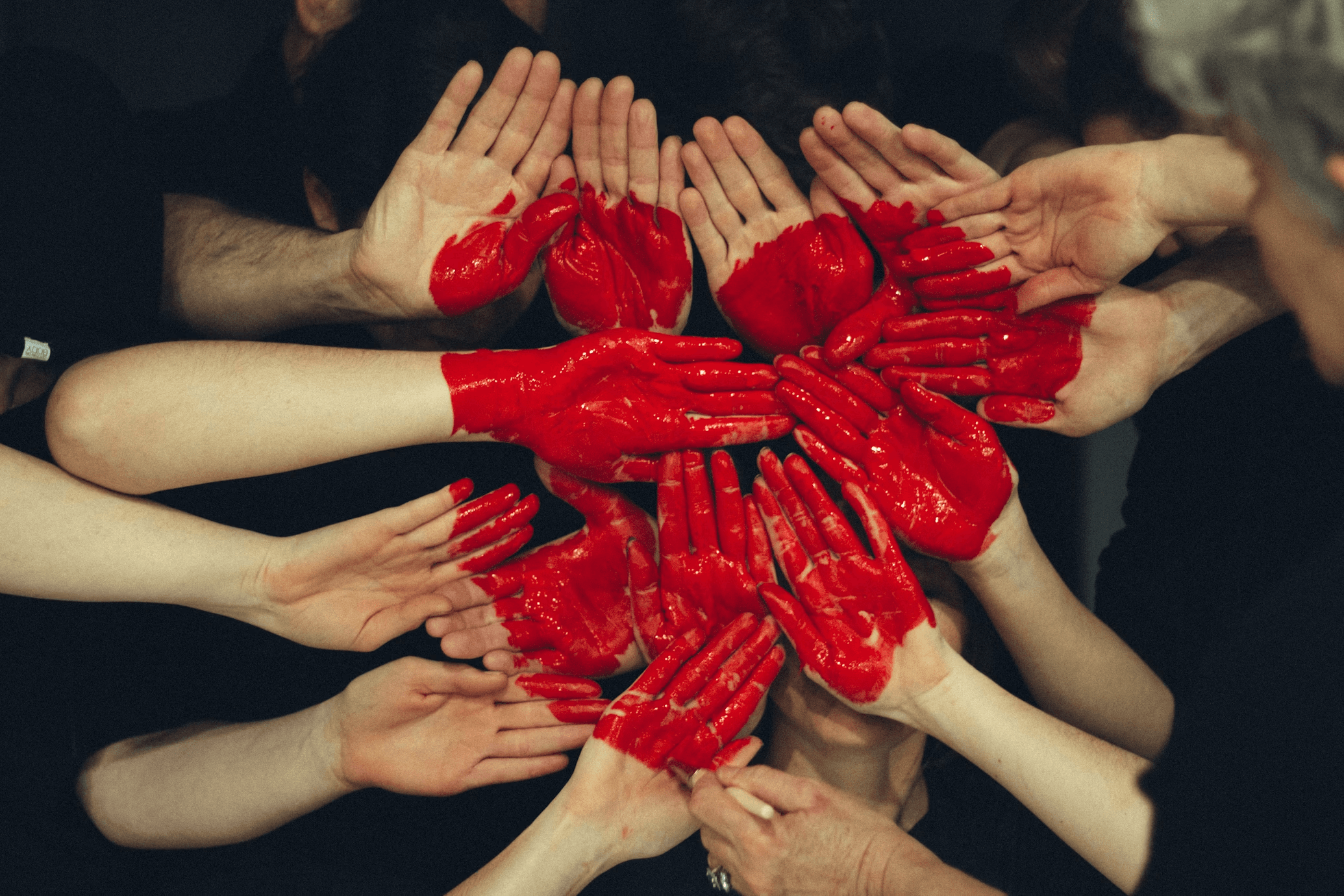 Hands holding red flowers