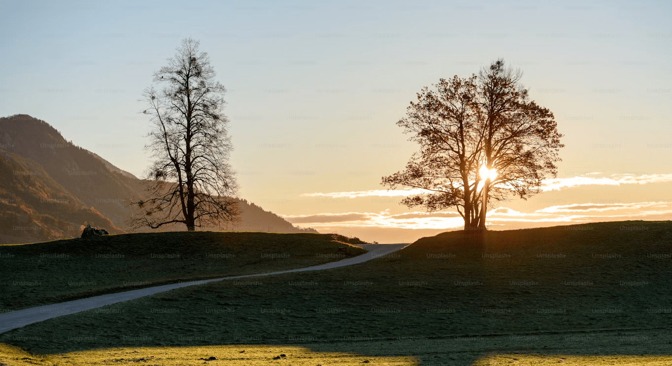 منظره طلوع خورشید